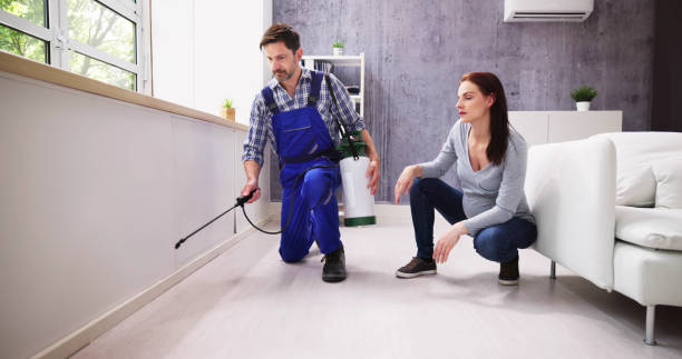 Best Residential Pest Control  in Doraville, GA